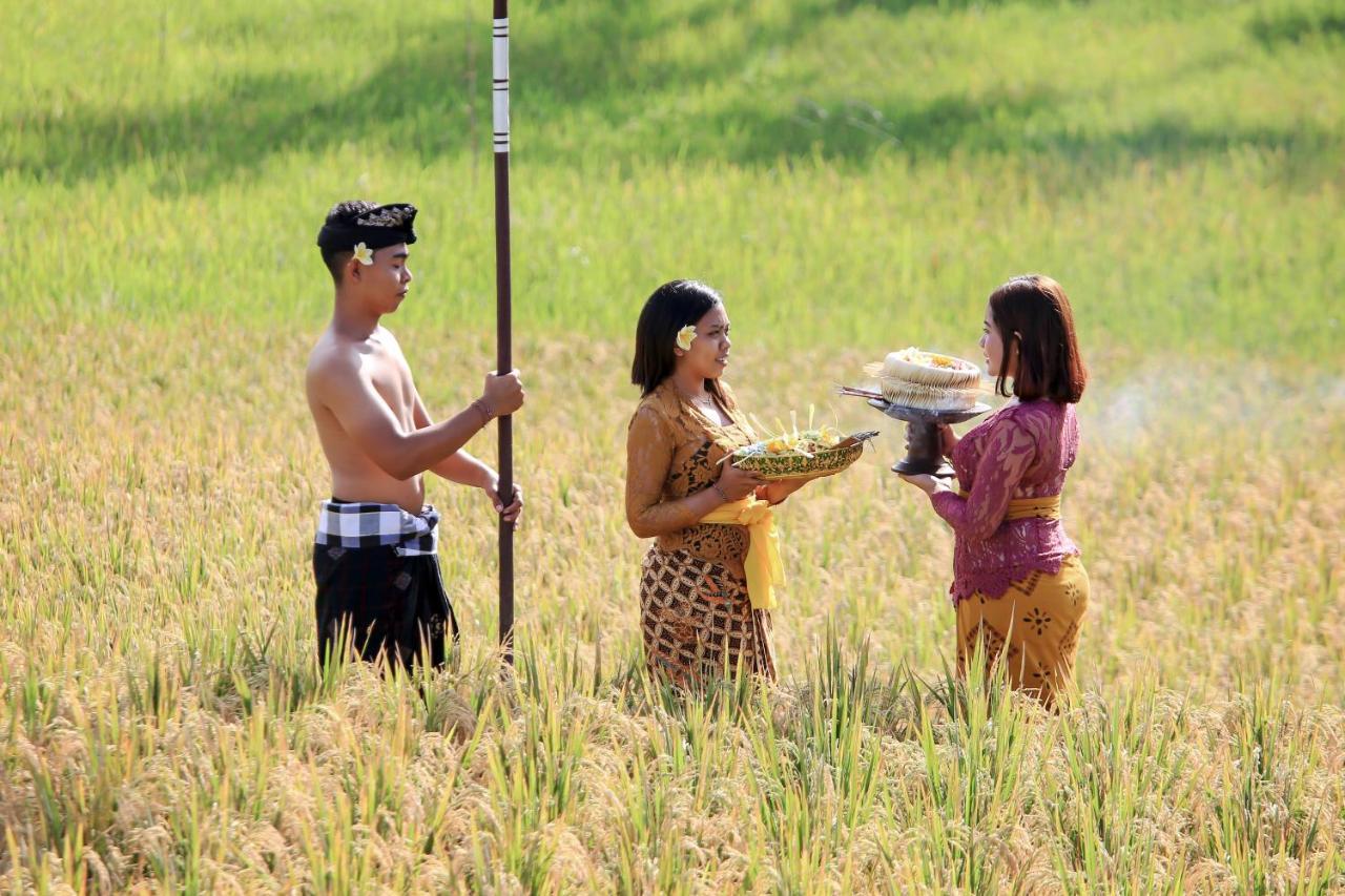 Pawana Villas Ubud  Luaran gambar